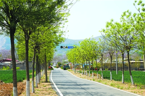 东平县无盐村